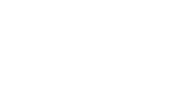 Petit alligator