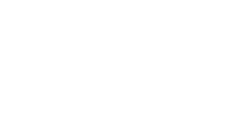 Cormoran à aigrettes