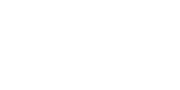 Aigrette neigeuse