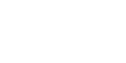 Iguane vert