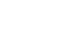 Panthère de Floride