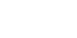 Rat noir