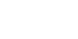 Crapaud du désert de Sonora