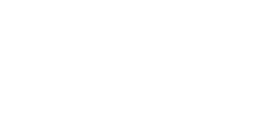 Urubu noir